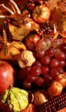 celebrationsthanksgiving