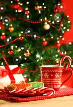 cookiesforsanta