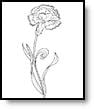Moms Who Think - Flowers Coloring Pages