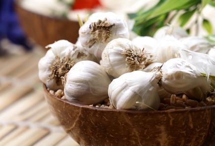 Garlic