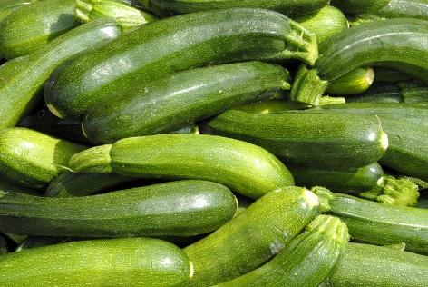 Zucchini zucchini