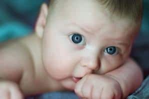 Image Image