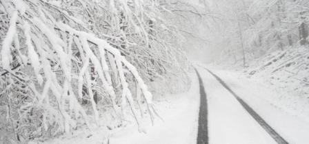 Winter Storm winter-checklist