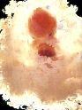 10 weeks pregnant