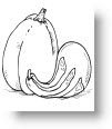 thanksgiving-coloring-pages-107