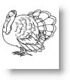 thanksgiving-coloring-pages-90