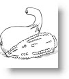 thanksgiving-coloring-pages-95