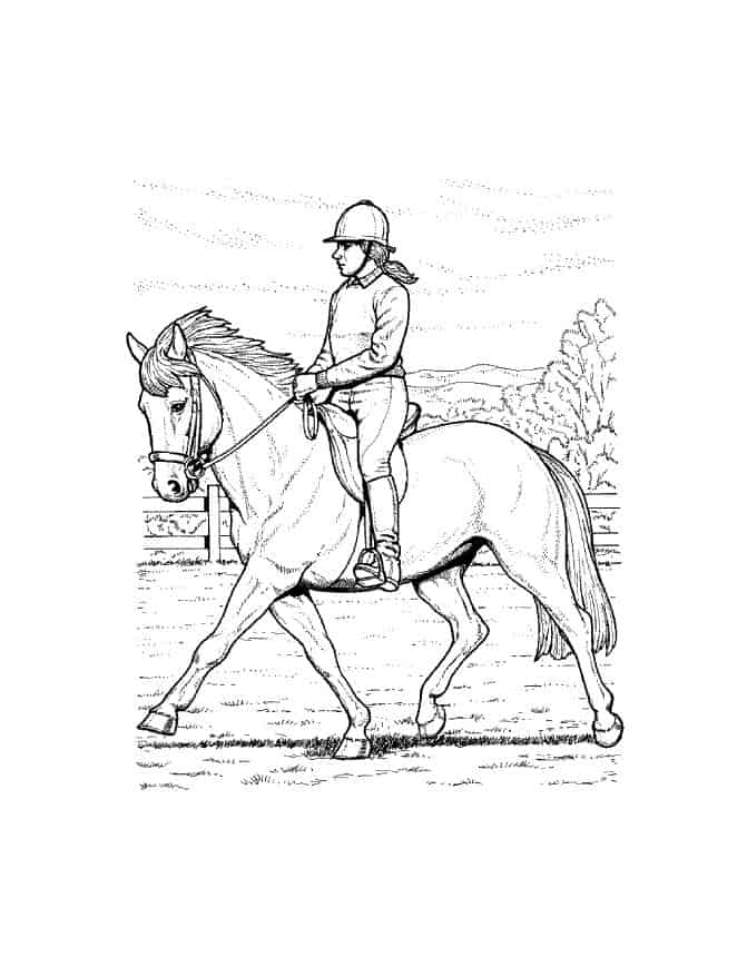 horse coloring pages