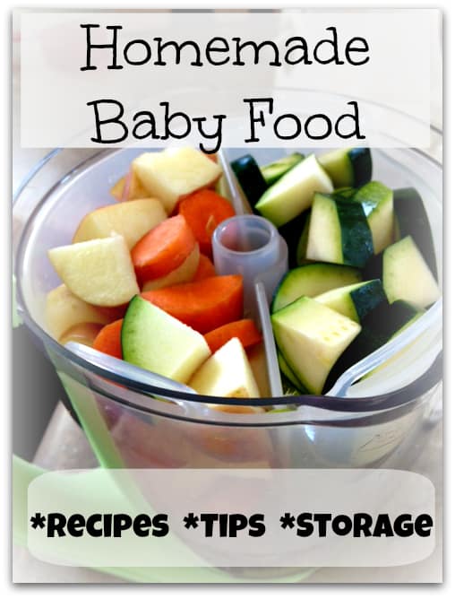 homemade baby food recipes