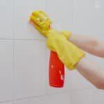 Lysol Mold & Mildew Remover With Bleach