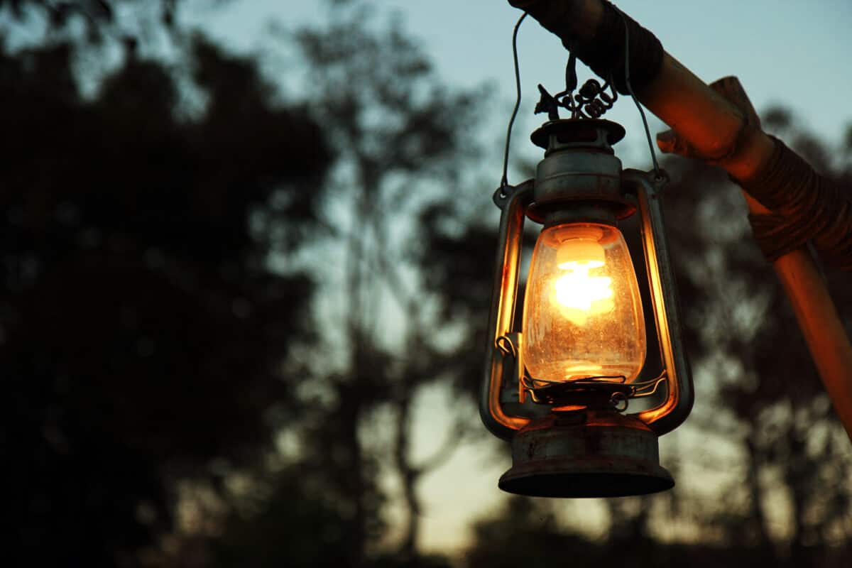 camping lantern hanging from a tree