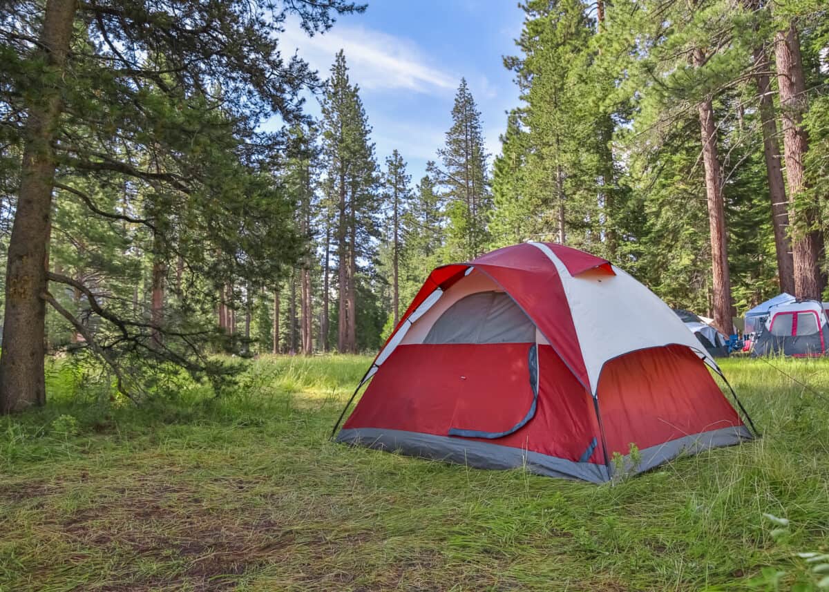 red tent in the woods