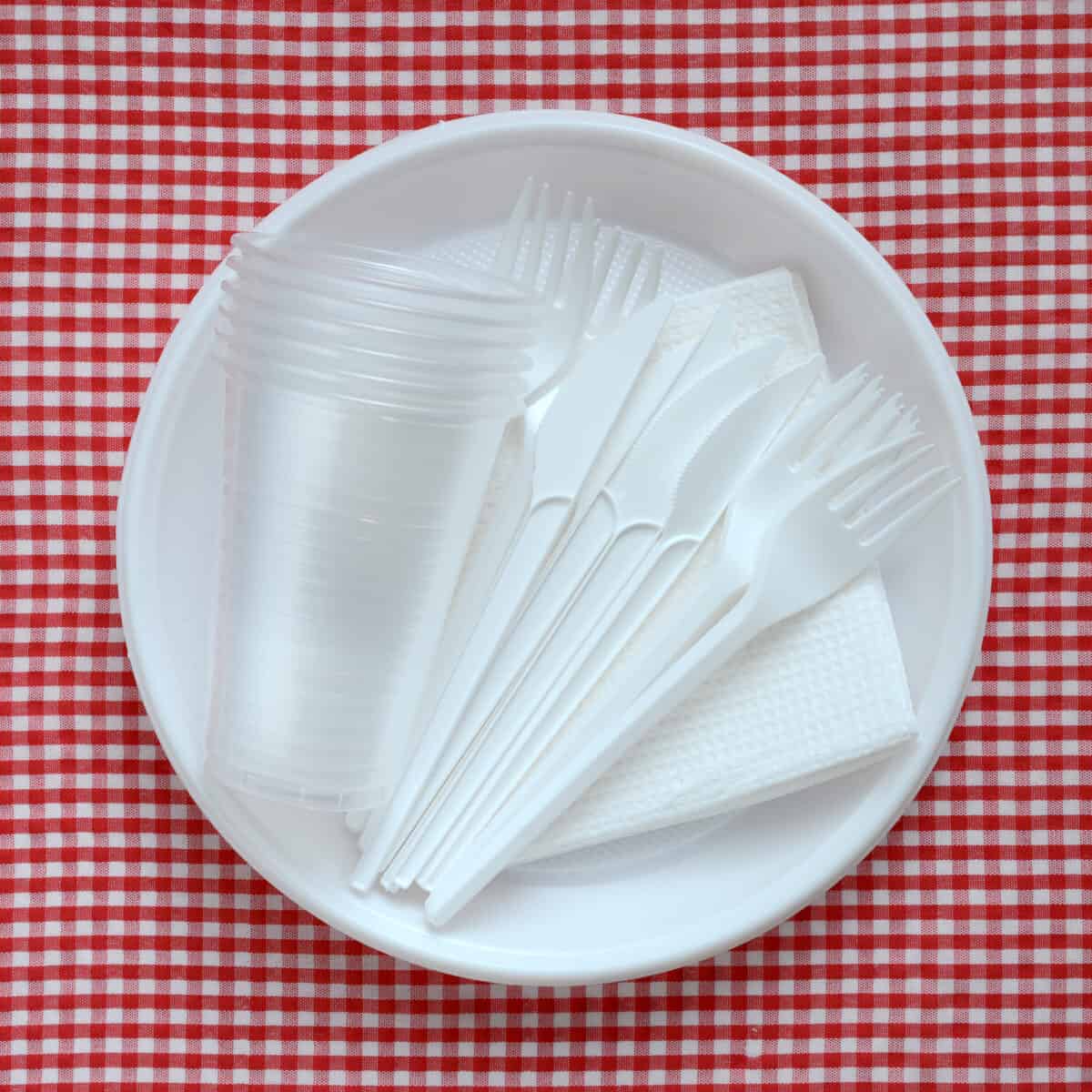 disposable dinnerware