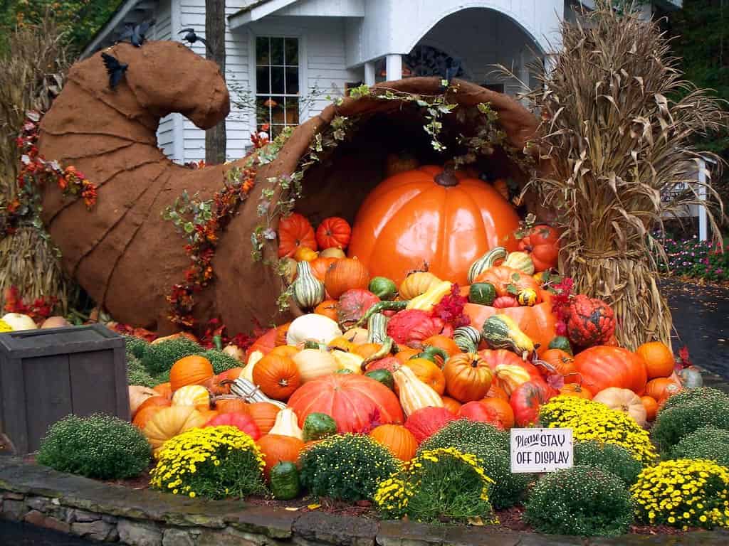 Dollywood in the fall