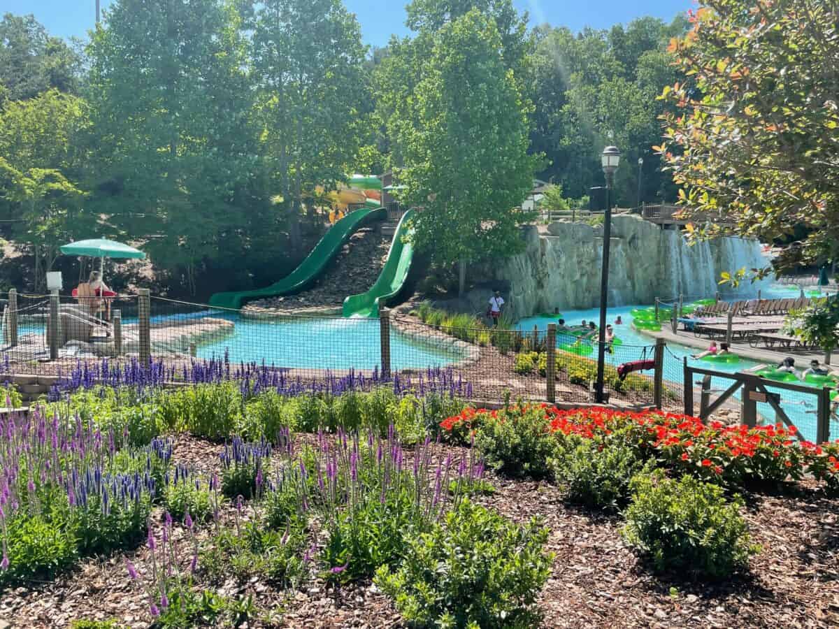 The Butterfly at Dollywood Splash Country