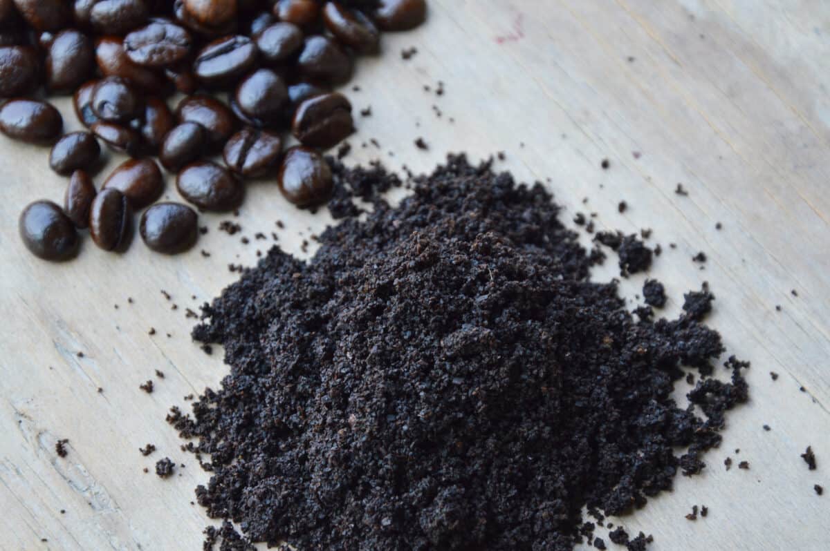 coffee grounds and coffee beans