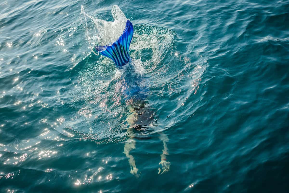 mermaid in the ocean