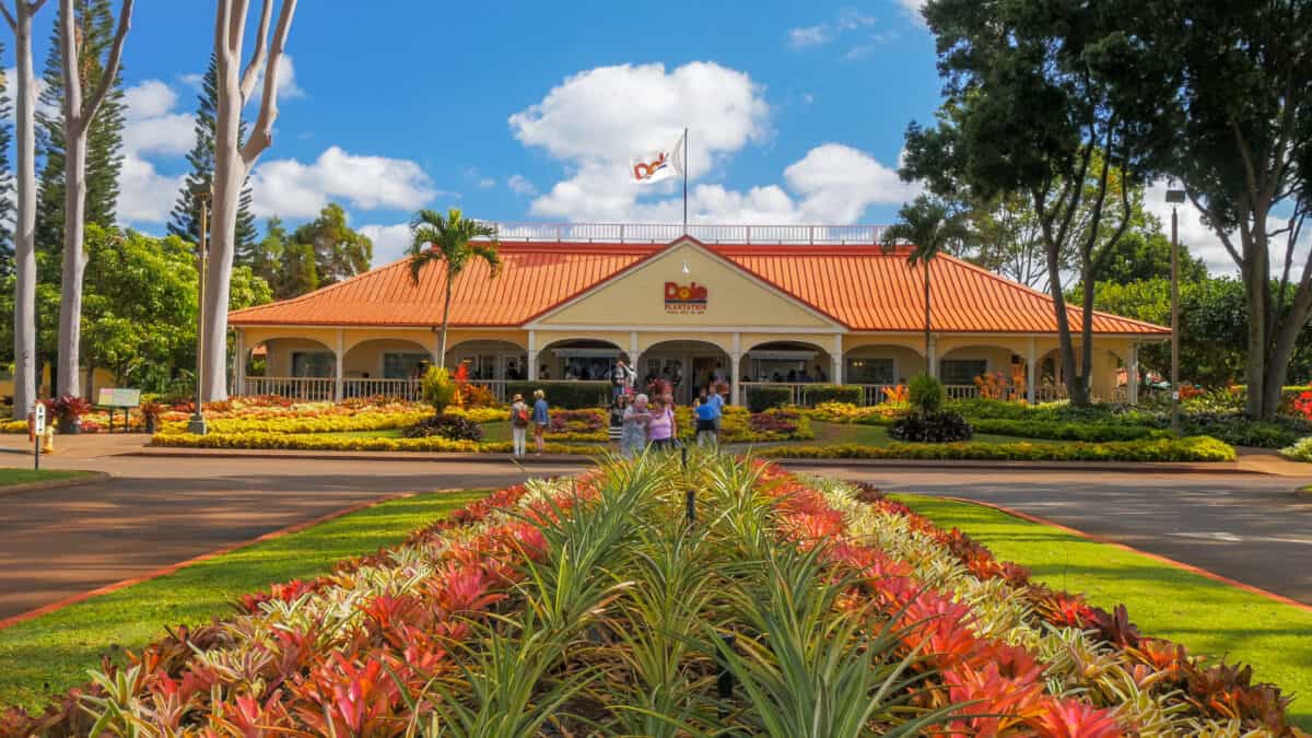 Dole Pineapple Plantation