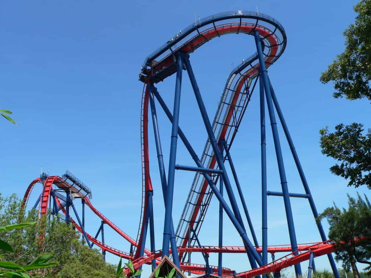 SheiKra - a fast ride a Busch Gardens Tampa Bay