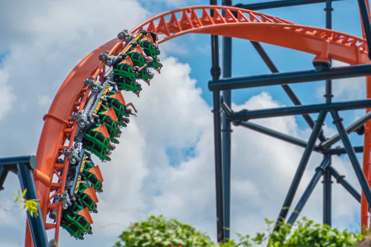 Tigris at Busch Garden Tampa Bay