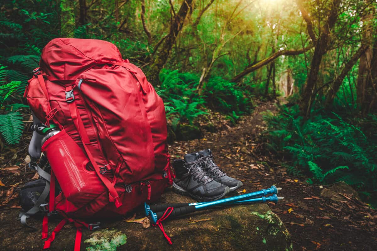 Red backpack, hiking boots, water bottle, hiking poles and supplies for hiker are placed on a large rock in lush rain forest path of Tasmania, Australia. Trekking camping and hiking adventure concept.