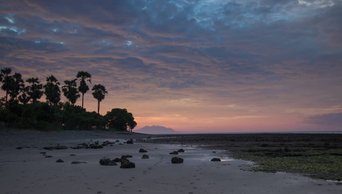 beachfront at dusk