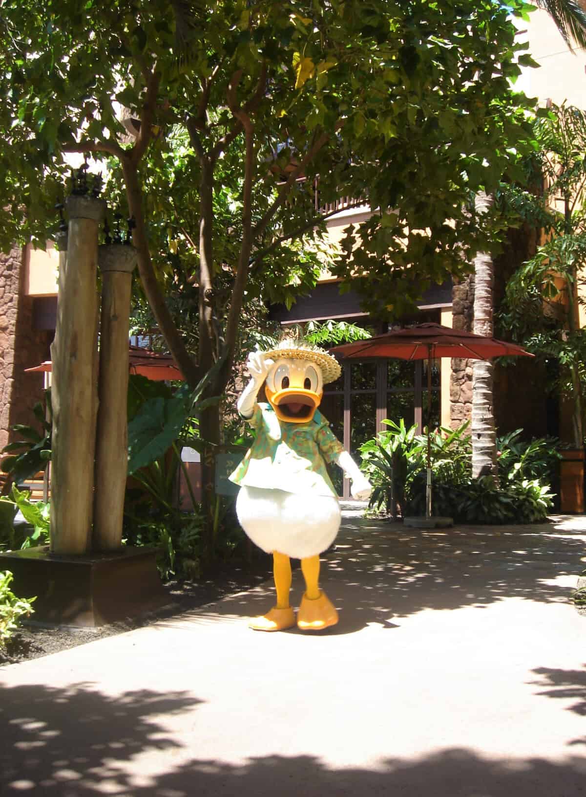Donald Duck at Aulani Disney Resort & Spa