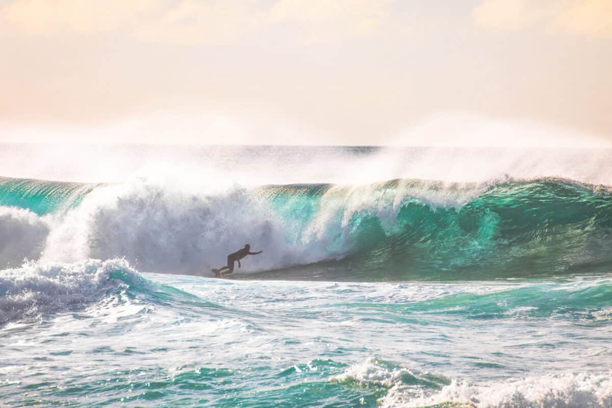 Hawaii's North Shore