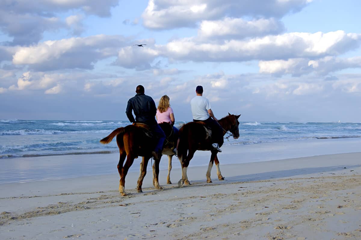 horseback riding on the beach