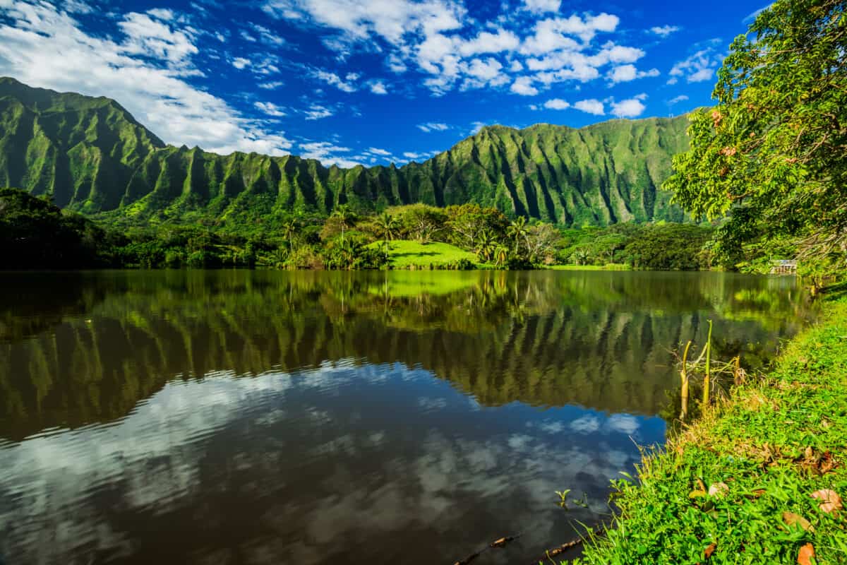 Ho’omaluhia Botanical Garden