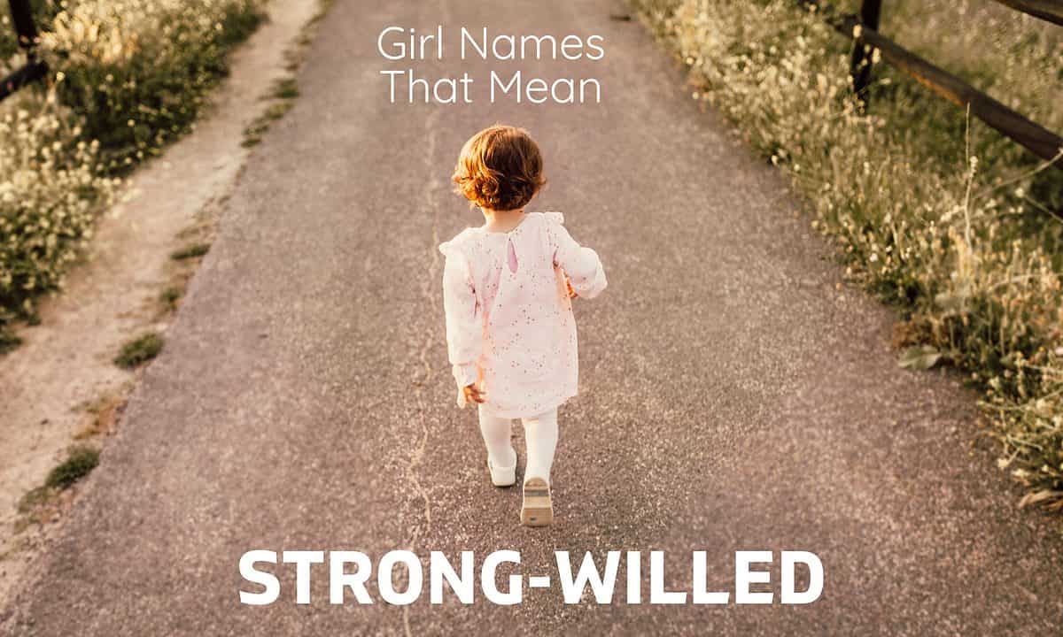 Boy Names That Mean Fox MomsWhoThink boy-names-that-mean-fox-momswhothink