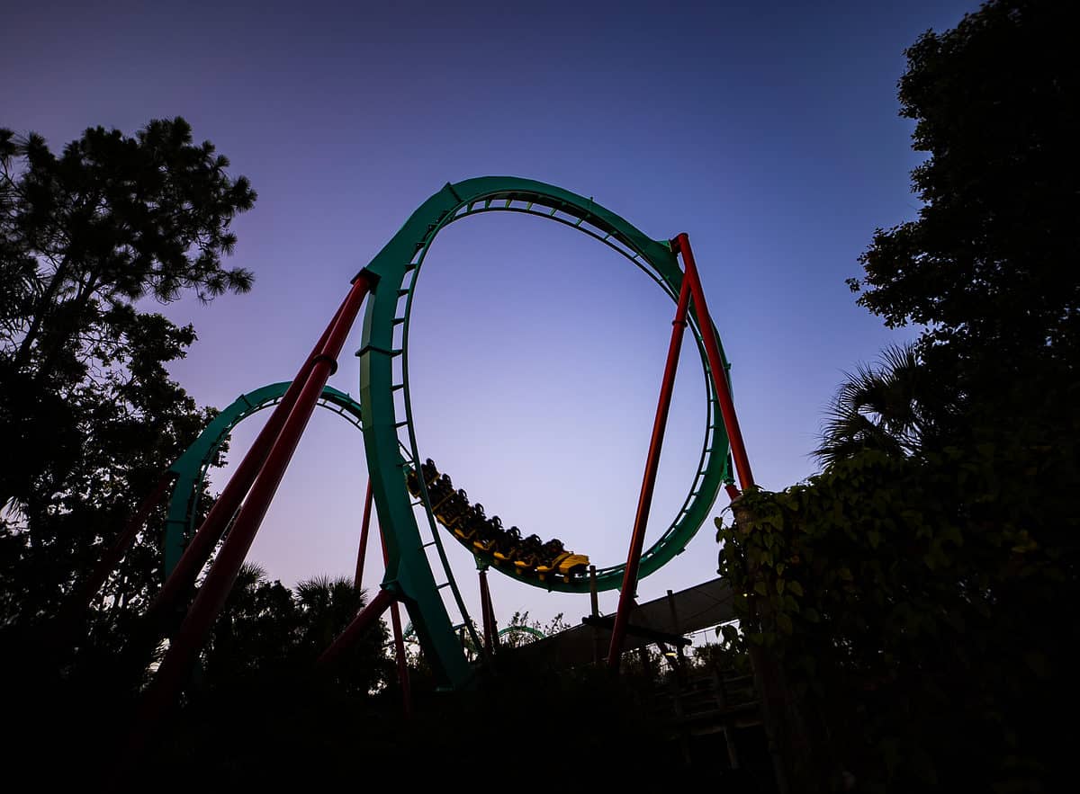 Kumba at Busch Gardens Tampa Bay