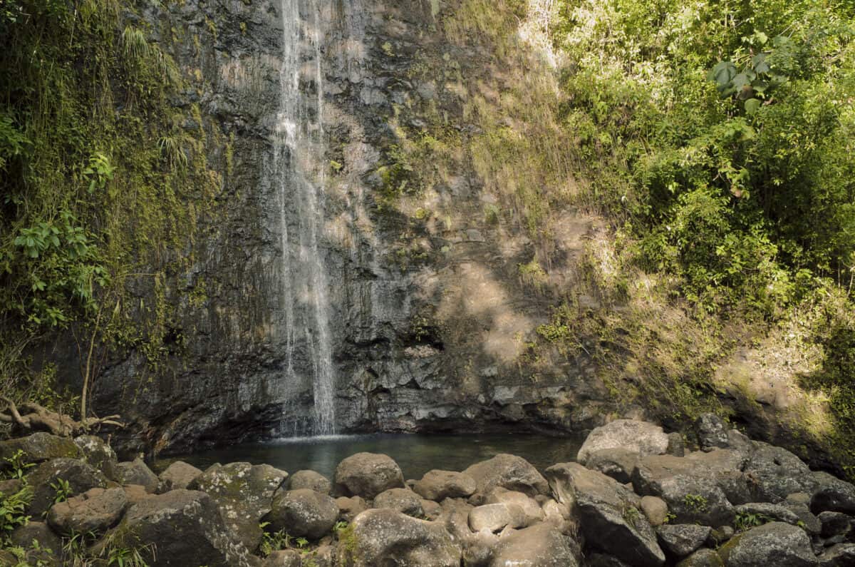 Manoa Falls is one of many family-friendly attractions on Oahu.