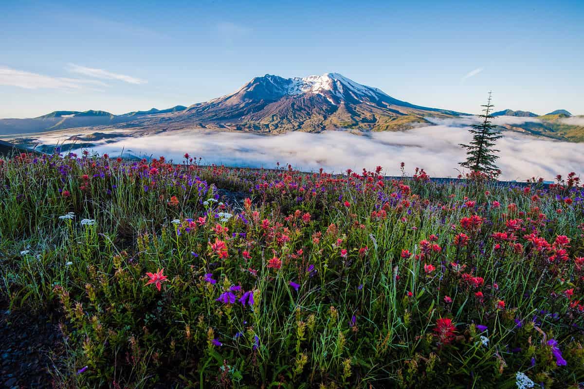 Mount St. Helens is one of several day trips from Portland.