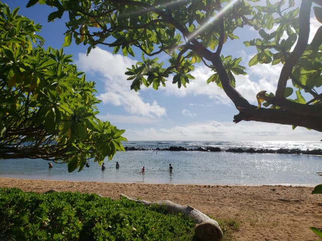 Lydgate Beach