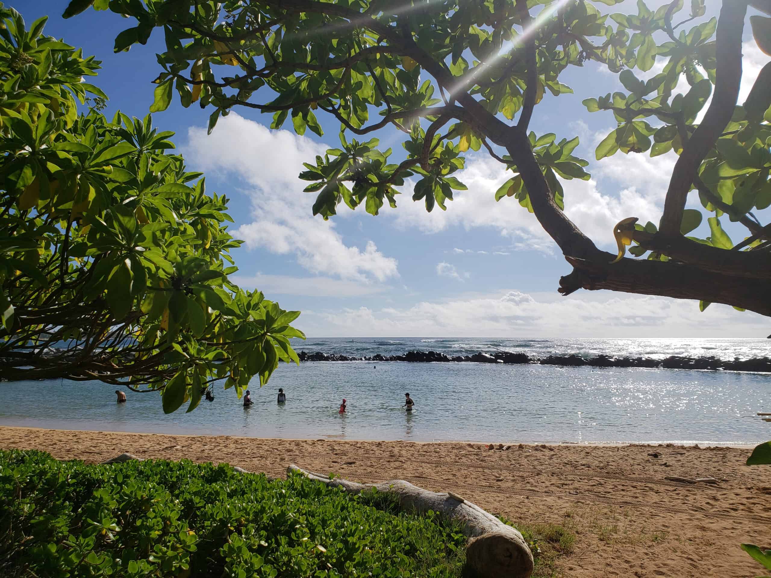 Lydgate Beach