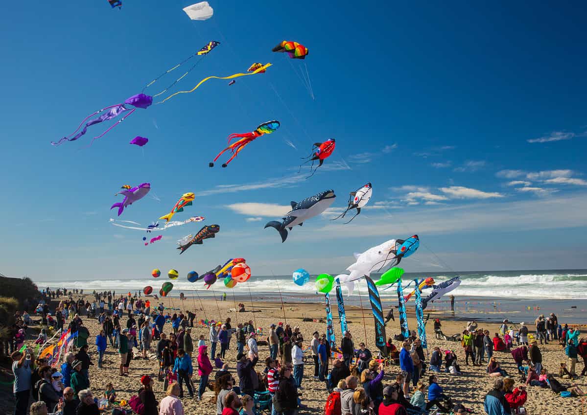 Lincoln City Kite Festival