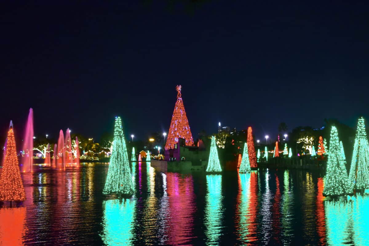 Disney World Christmas trees
