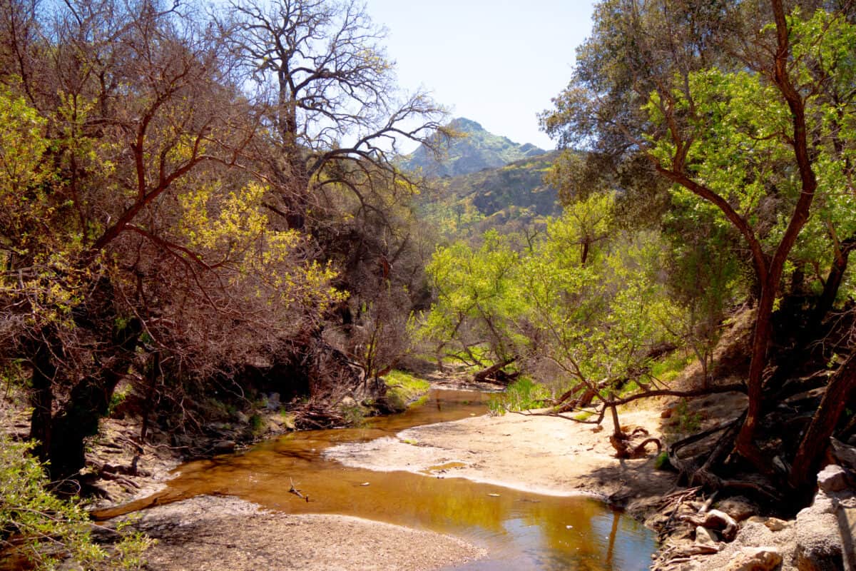 Malibu Creek State ParkThe world is an exciting place! These trivia questions ignite a spark of curiosity in our natural world. 