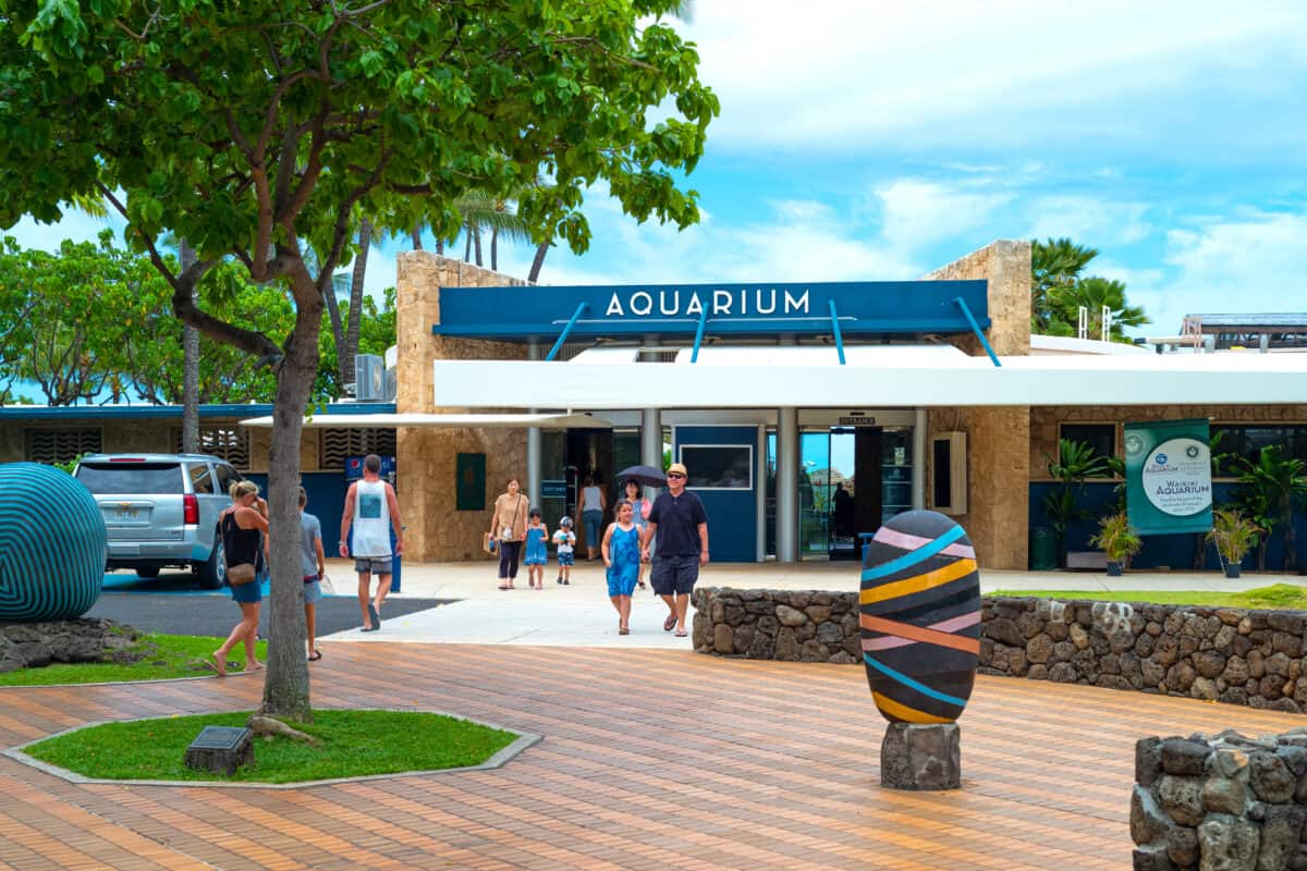 The Waikiki Aquarium is one of many things to do with toddlers on Oahu.