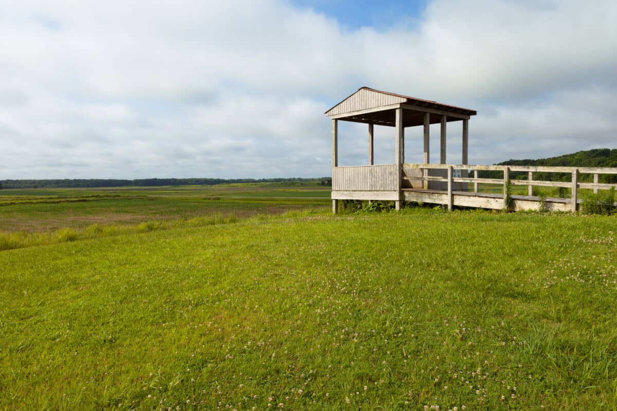 Hatchie National Wildlife Refuge 