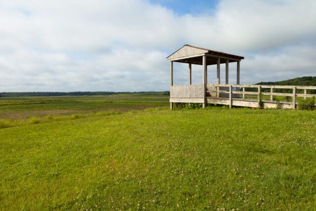 Hatchie National Wildlife Refuge