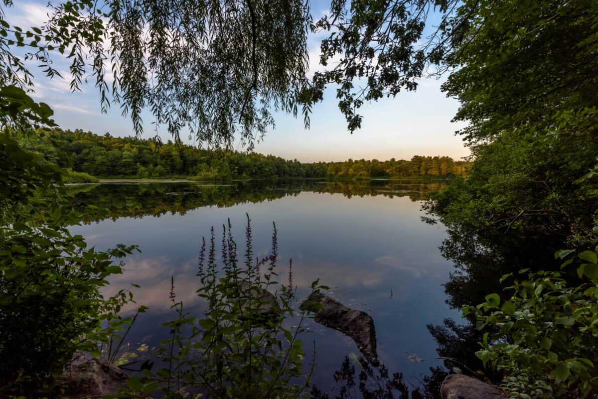 Natural beauty abounds at Wompatuck State Park, which is a shohrt day trip from Boston.