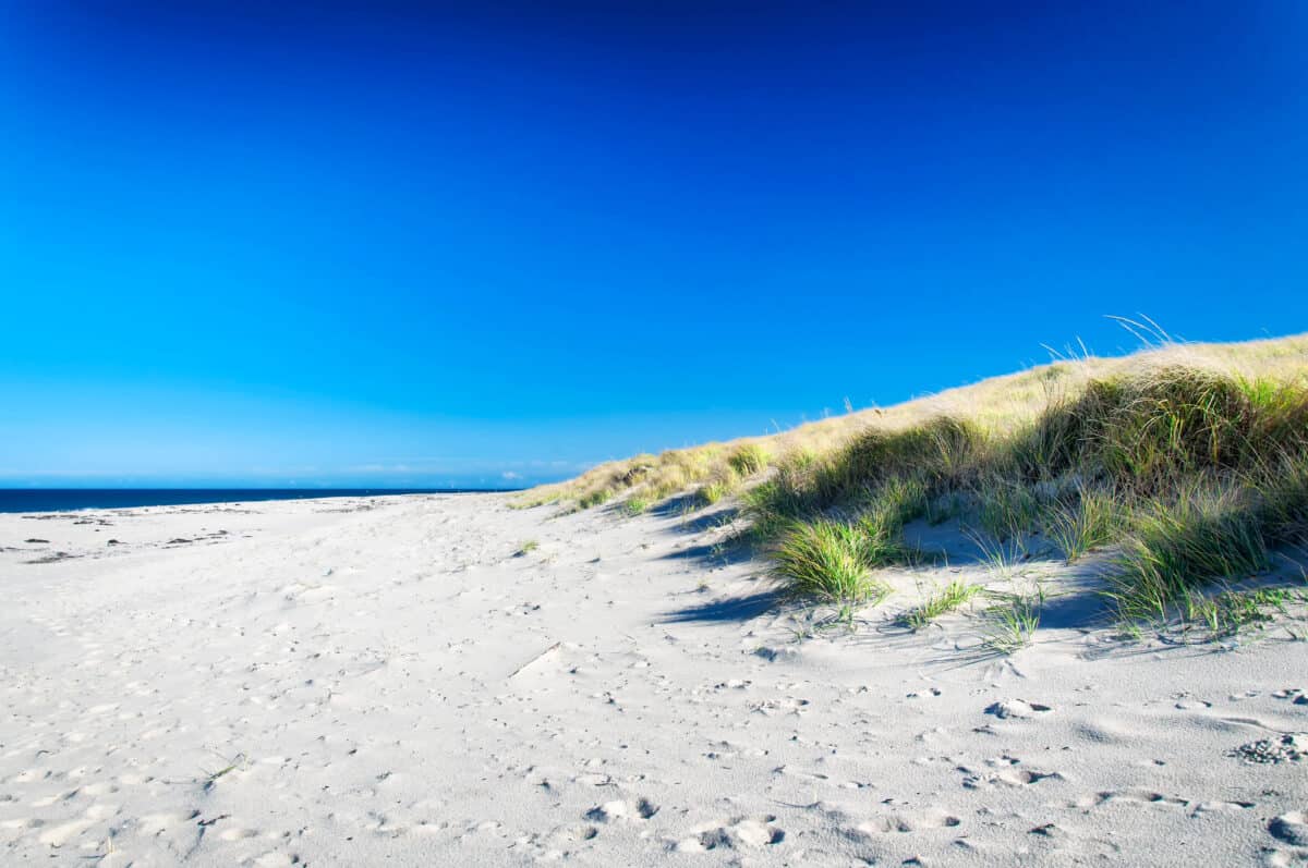 Cape Cod National Seashore - a family day trip from boston