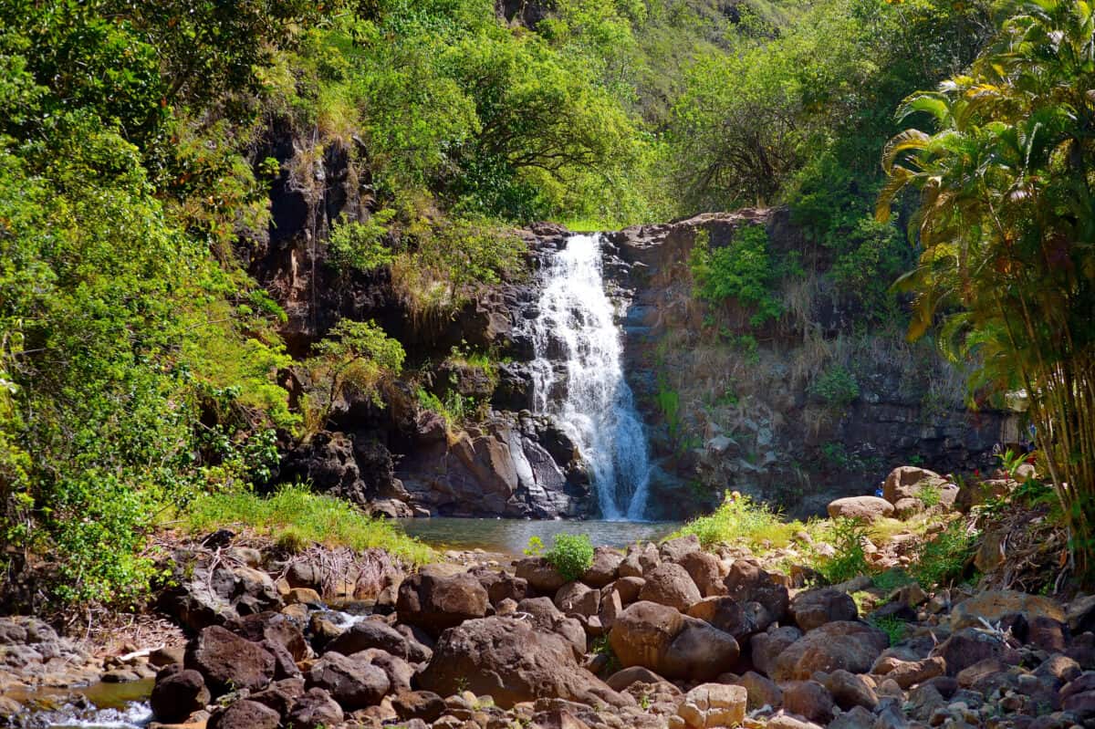 Waimea Valley Oahu Hawaii