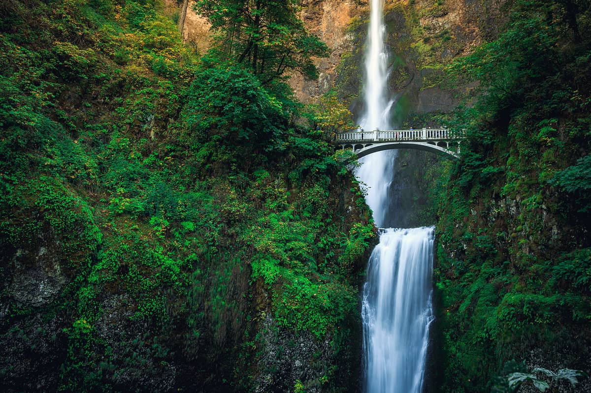 Multnomah Falls is one of several day trips from Portland.