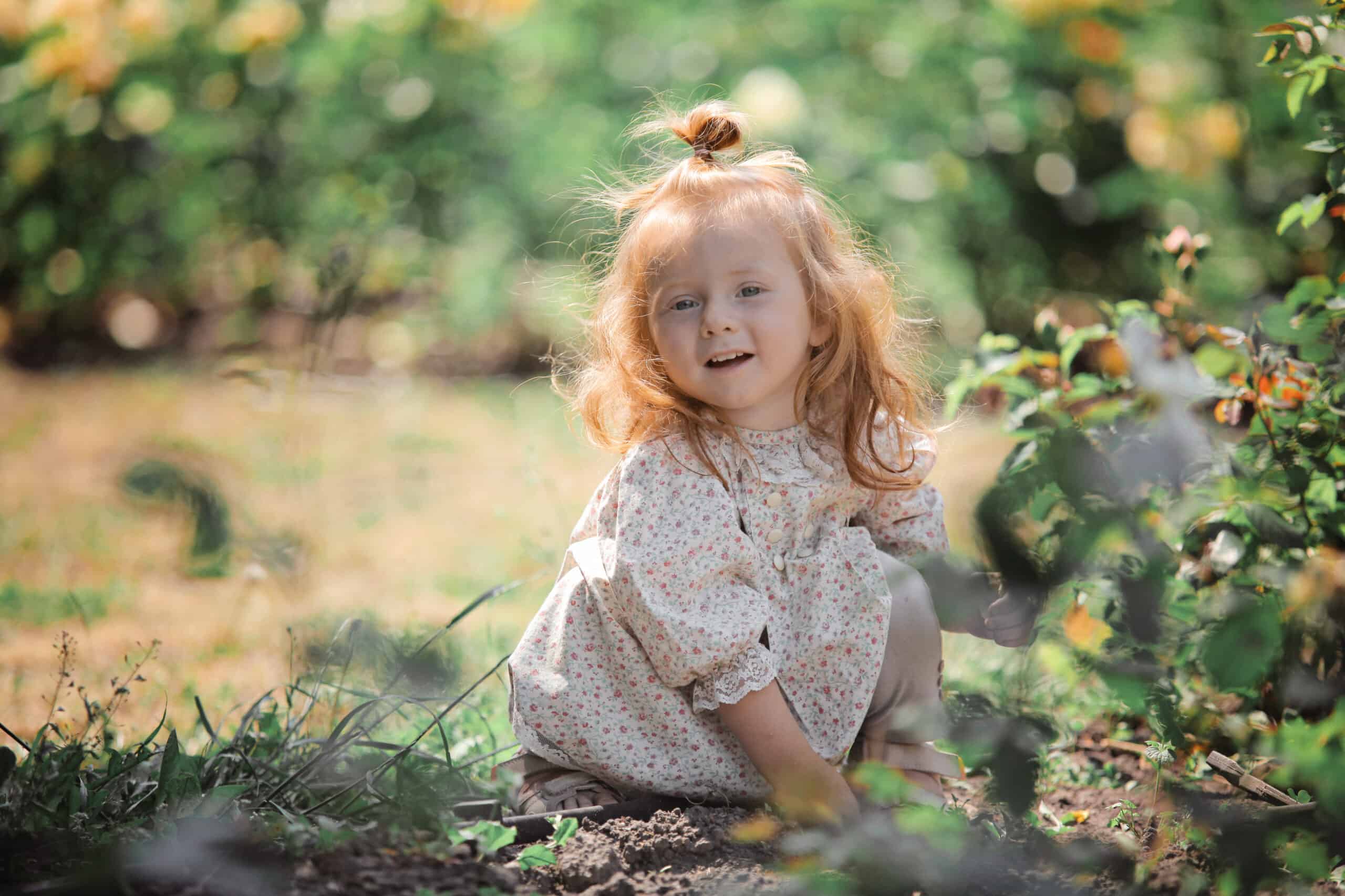 Little red-hair girl walk on sunny roses flowerbed in park. Foxy hair toddler run through high grass in the magic summer sun light, having fun carefree happy childhood