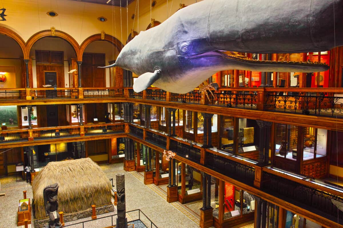 Bishop Museum is a family-friendly attraction in Oahu