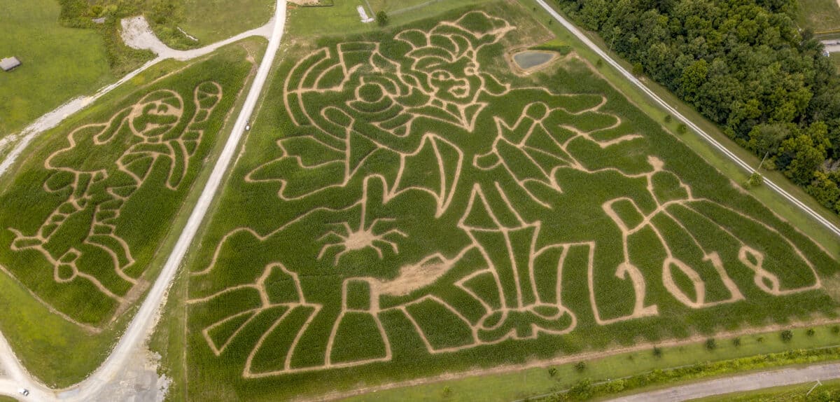 Holiday World & Splashin' Safari corn maze