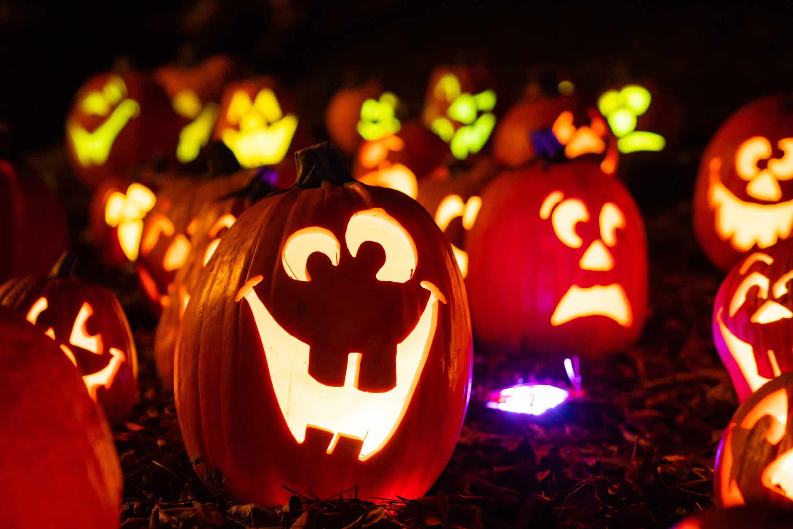 Pumpkins at Kentucky Kingdom